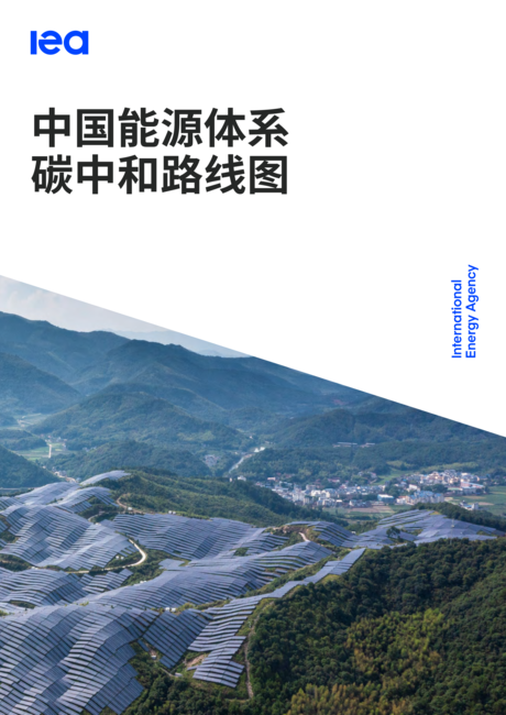 IEA:中国能源体系碳中和路线图